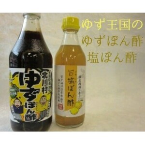 ゆず王国のゆずぽん酢と塩ぽん酢 【北川村ゆず王国】【1517588】