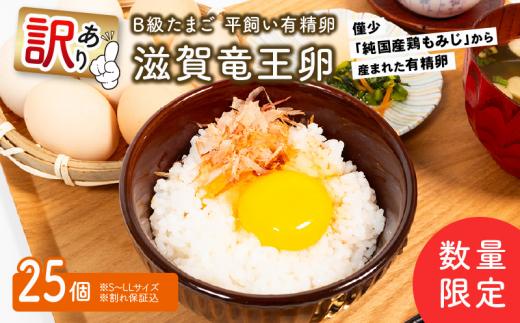 【TVで紹介されました！】 訳あり B級たまご 平飼い有精卵 滋賀竜王卵 25個 ※割れ保証計3個 ( こんもり盛り上がるプルプルな卵白 滋賀竜王卵 新鮮 平飼い 卵 純国産 鶏もみじ 訳あり 大人気 たまご 鶏卵 卵黄 エッグ 希少 たまごかけ ご飯 玉子 タマゴ 玉子焼き たまご焼き すき焼き 鶏 ケーキ 産地直送 送料無料 国産 滋賀県 竜王町 ふるさと納税 )