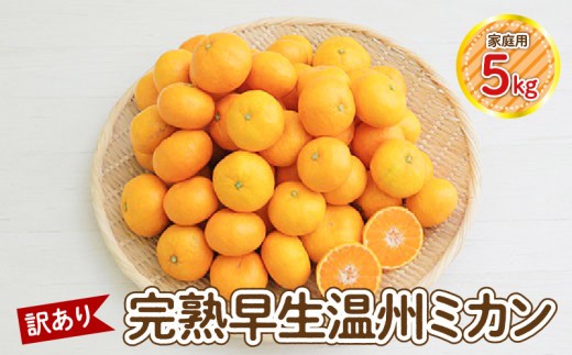 
                  S040-026_【訳あり】完熟早生温州ミカン 家庭用5kg
                