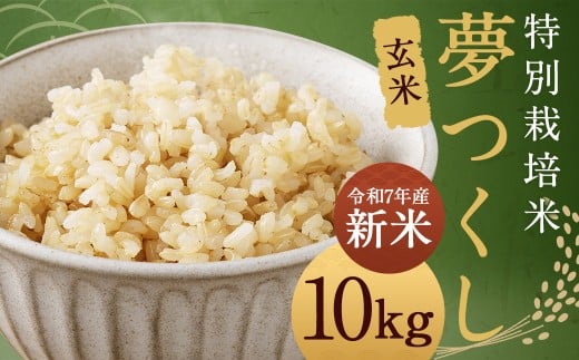 【玄米】 夢つくし （特別栽培米） 約10kg 福岡県産 令和7年産 新米 玄米 米 こめ コメ