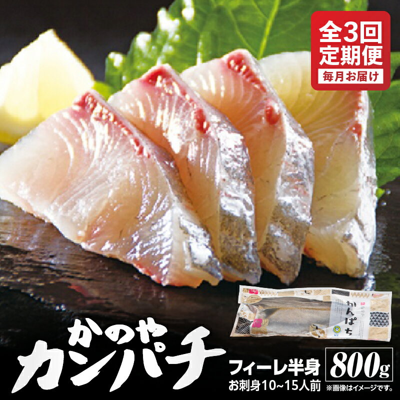 【ふるさと納税】【定期便 全3回】かのやカンパチフィーレ 800g ×3回 合計2.4kg 鹿児島県産 国産 かんぱち カンパチ 海産物 魚介 刺身 カルパッチョ ブランド【鹿屋市漁業協同組合】