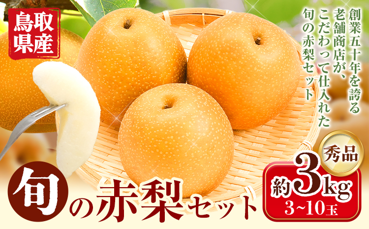 なし 梨 旬の赤梨セット 約3kg (3~10玉) 先行予約《2025年8月下旬から1月上旬頃出荷》 鳥取県 八頭町 果物 フルーツ 秀品 厳選 ふるさと納税 高間商店 幸水 豊水 秋栄梨 秋甘泉 新甘泉 新高梨 あたご梨 王秋梨 先行予約y-5