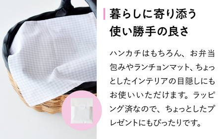 【ギフト対応・ラッピング済】 【播州織】 レディース用ハンカチ2枚セット B／ CHECK&STRIPE おしゃれ 綿素材 日本製 ハンカチ ギフトセット オリジナル 女性向け 雑貨 プレゼント