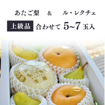 【きよとうファーム】あたご梨＆ル・レクチェ 上級品/5-7玉入(岡山県産)