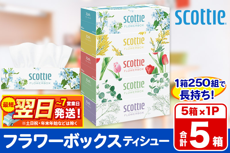スコッティ ティッシュペーパー フラワーボックス 5箱×1パック 秋田市オリジナル