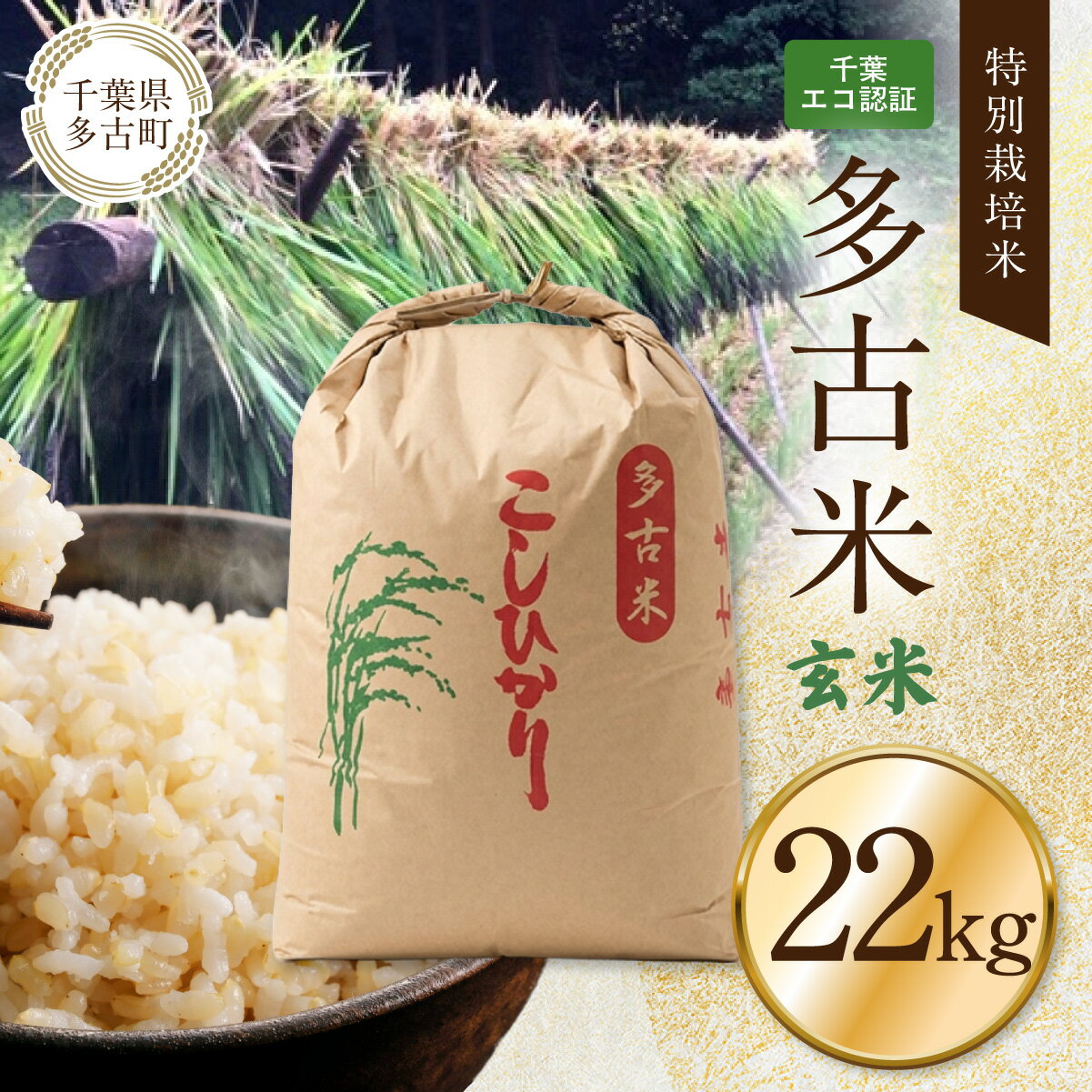 【ふるさと納税】千葉エコ認証　特別栽培米多古米「コシヒカリ」玄米22kg TAKJ005