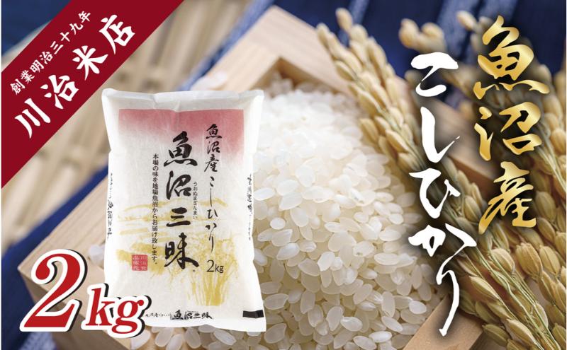 令和6年産 魚沼産 コシヒカリ 2kg 米 こしひかり お米 コメ 新潟 魚沼 魚沼産 白米 送料無料 新潟県産 精米 産直 産地直送 契約農家 お取り寄せ 魚沼三昧 川治米店 新潟県 十日町市 もちもち 甘み