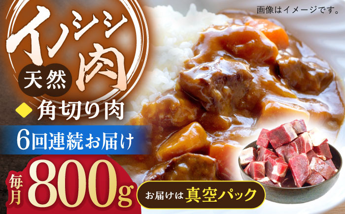 
【6回定期便】ジビエ 天然イノシシ肉 角切り肉 800g（カレー・シチュー）【照本食肉加工所】 [OAJ062]
