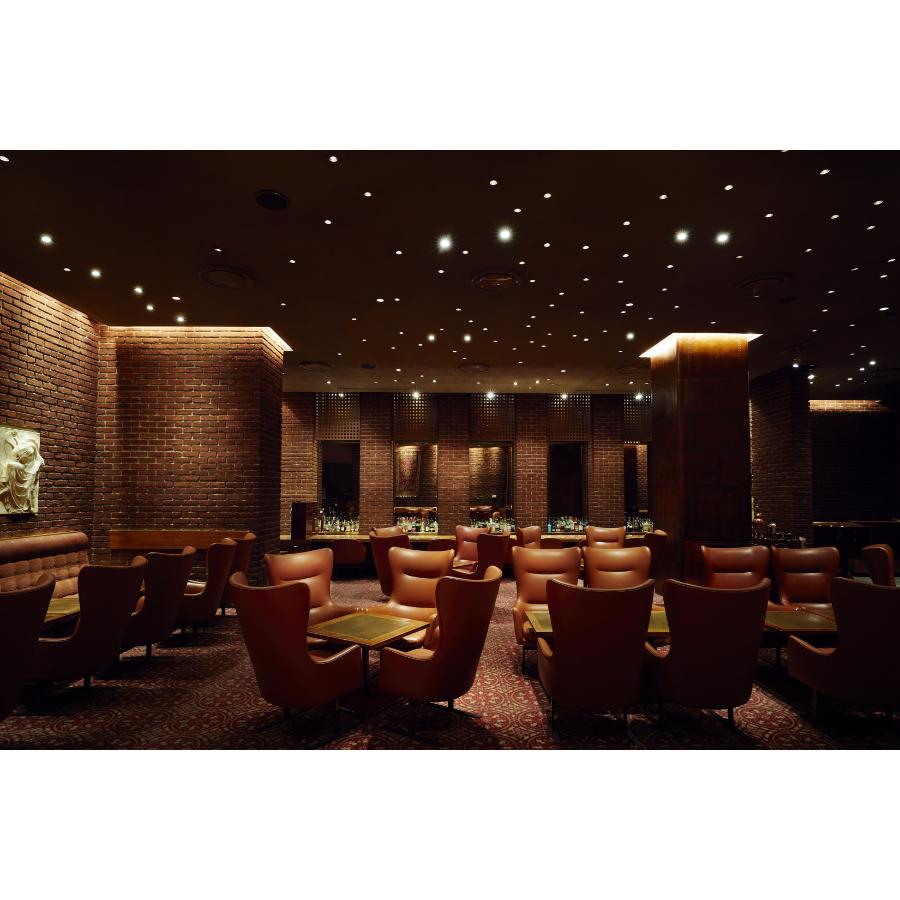 ＜京王プラザホテル＞メインバー『ブリアン』ボトルメイトプラン【三越伊勢丹選定】