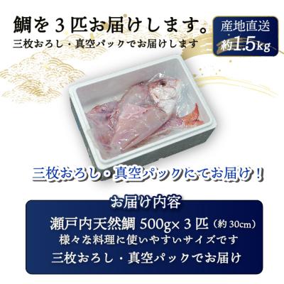 ふるさと納税 三原市 瀬戸内産天然真鯛 約1.5kg(500g×3匹/三枚おろし)[154-002] |  | 03