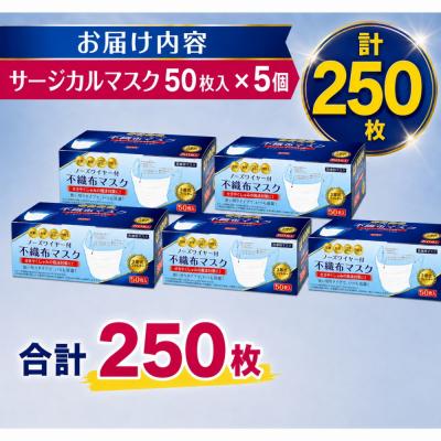 ふるさと納税 名古屋市 不織マスク50枚大人用(サージカルマスク)5個 |  | 01