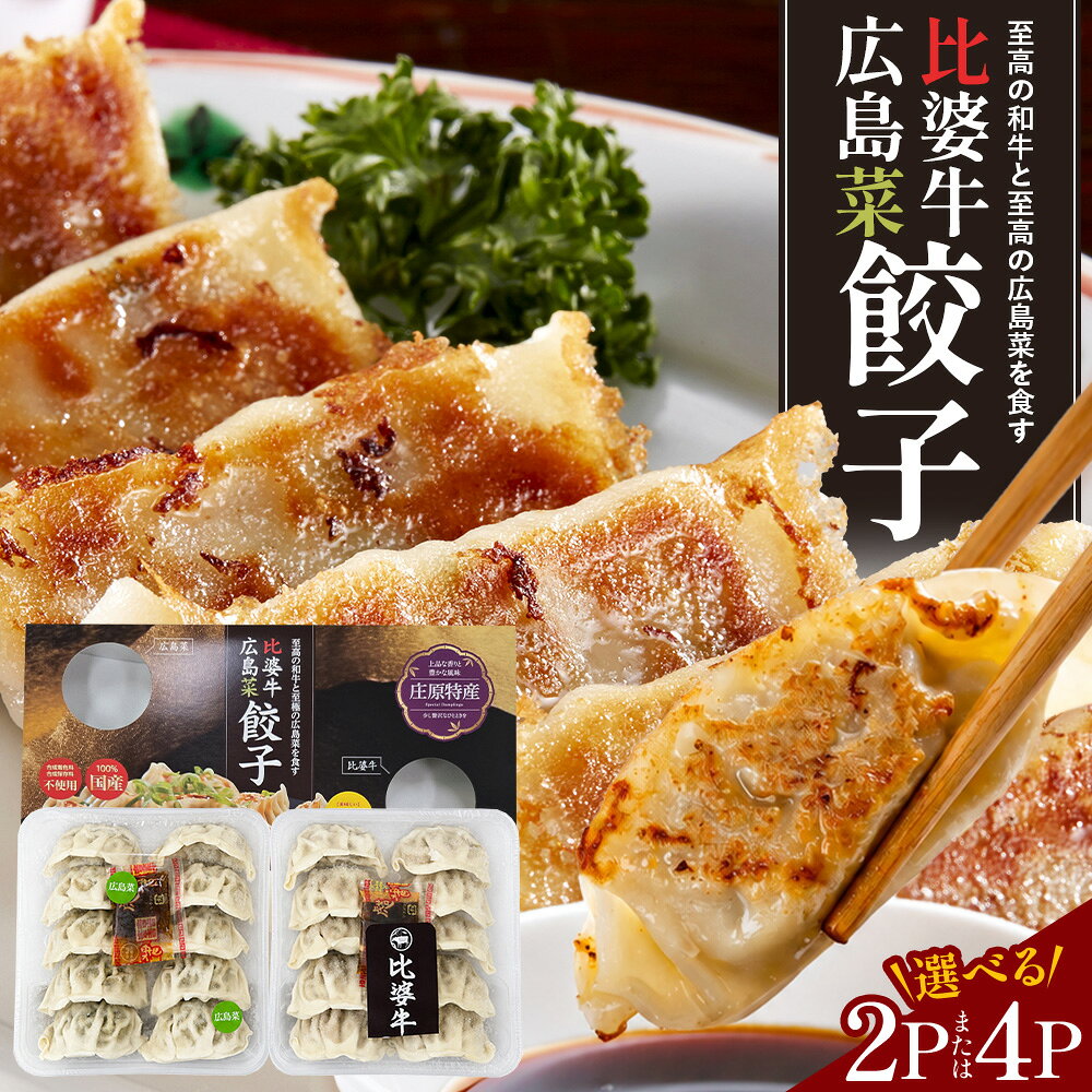 【ふるさと納税】 庄原特産 比婆牛餃子 広島菜餃子 合計2パック or 合計4パック | 餃子食べ比べ ぎょうざ ギョウザ セット 食べ比べ 肉餃子 野菜ぎょうざ 国産ぎょうざ 冷凍餃子 黒毛和牛 ブランド牛 惣菜 おかず 20個 40個【内容量が選べる】