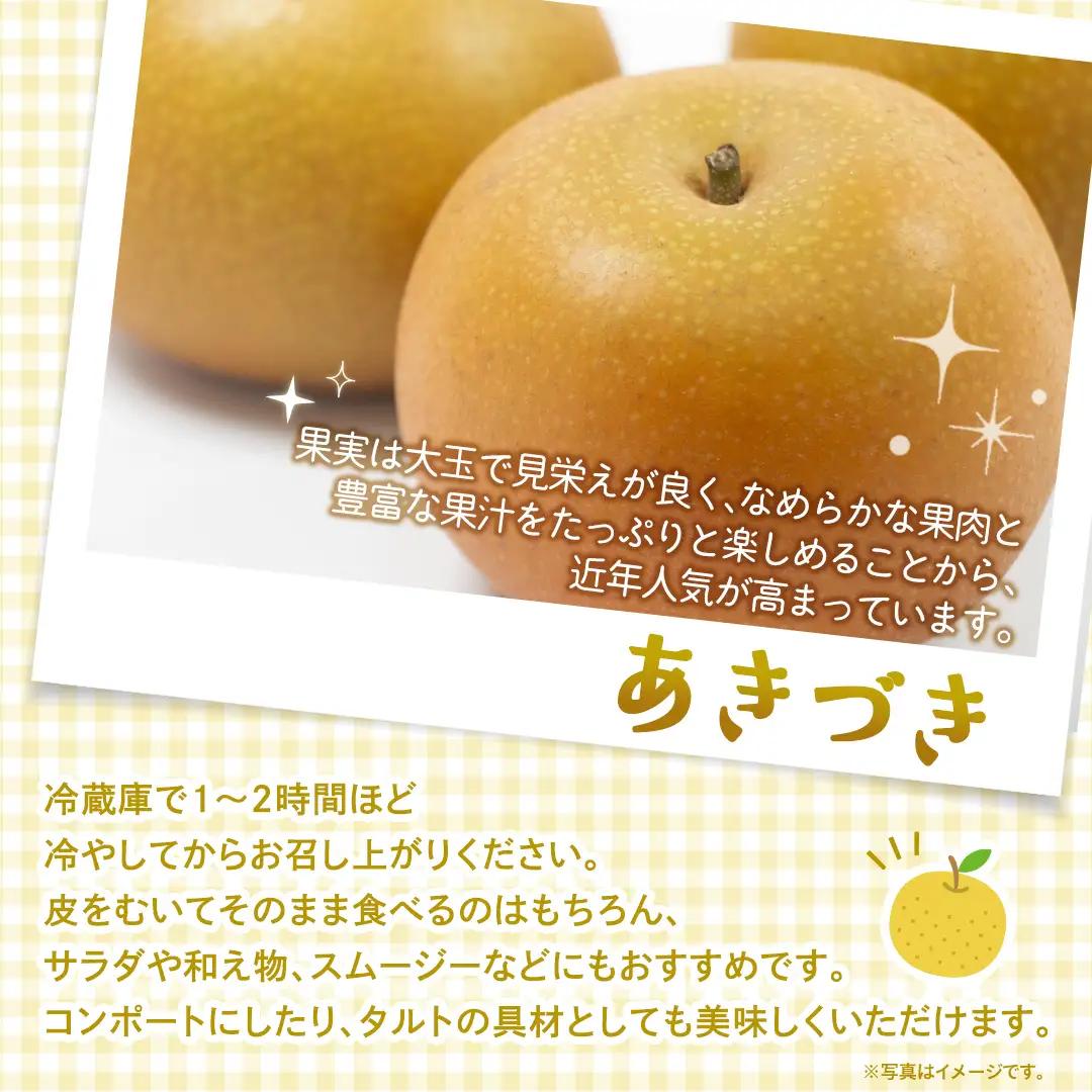 あきづき 梨 約10kg 【2026年10月より発送開始】（茨城県共通返礼品 [梨]：大子町産） 