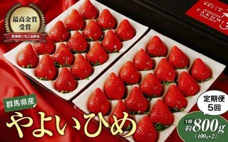 定期便5回分 やよいひめ（いちご）約800g いちご 群馬県 前橋市