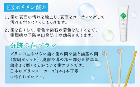 ポリリンオーラルケアセット 3セット組 ｜ 歯磨き粉