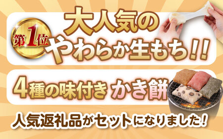 【1月以降発送】築上町産 本格 杵つき 生もち + かき餅 セット 5種類（9袋）《築上町》【アルク農業サービス合同会社】 餅 お餅 もち [ABAB004] きな粉餅 月見餅 鏡餅 しる餅 あん餅 