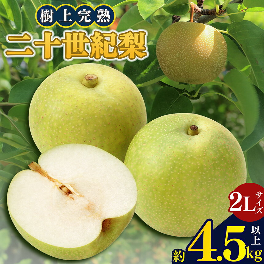 【ふるさと納税】 奈良県産 20世紀梨 2Lサイズ 平箱 14玉 | 果物 くだもの フルーツ 梨 期間限定 産地直送 奈良県 大淀町 万福農園