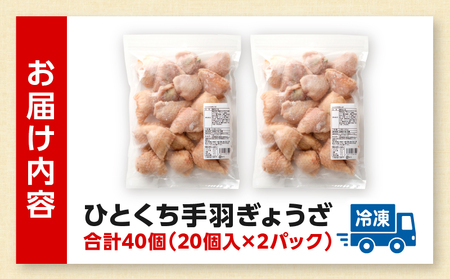 ひとくち手羽ぎょうざ 計40個 20個入×2パック 手羽先餃子 手羽餃子 手羽先 餃子 手羽 冷凍 惣菜 おかず お弁当