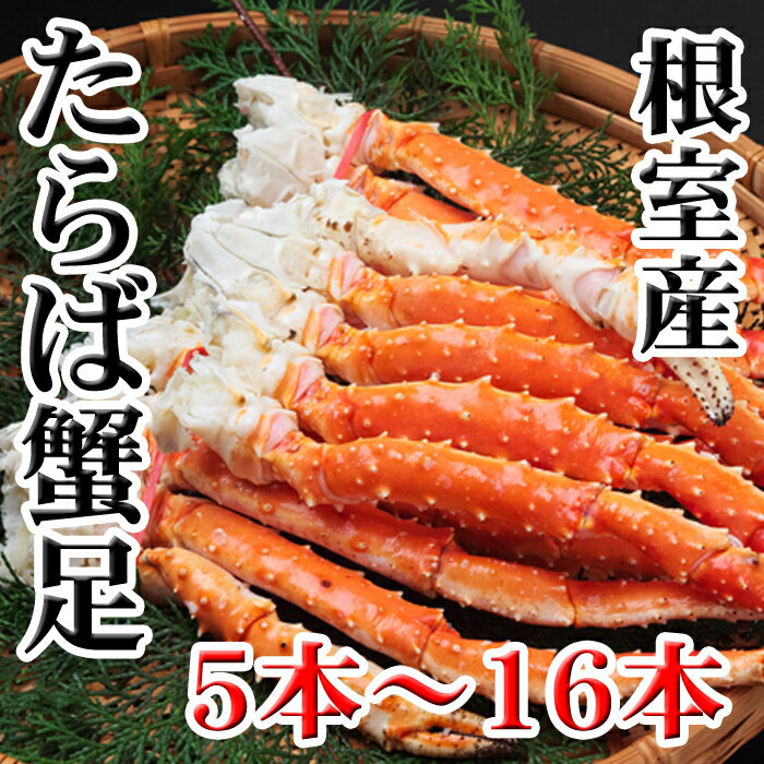 【ふるさと納税】[北海道根室産]ボイルたらば蟹足5本〜16本(計1〜1.2kg) C-70077