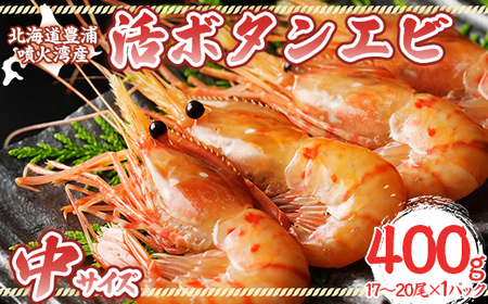 【2026年3月15日以降順次発送】活ボタンエビ 中サイズ 400g（17～20尾）×1パック 北海道 噴火湾産 【 ふるさと納税 人気 おすすめ ランキング 魚介類 えび 海老 牡丹海老 ボタンエビ おいしい 美味しい 新鮮 北海道 豊浦町 送料無料 】 TYUR047