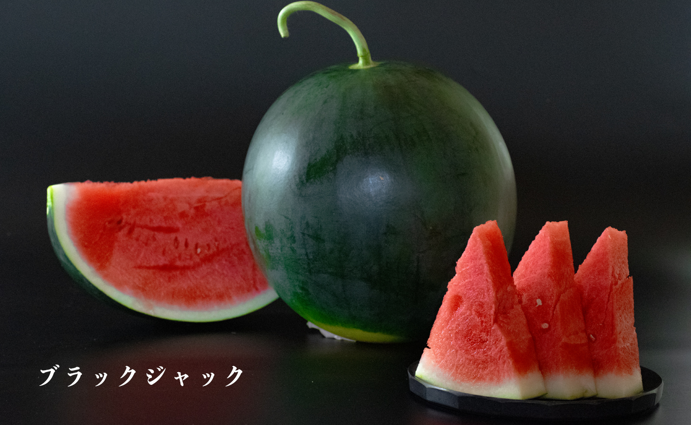 朝採れ すいか 2玉 大玉スイカ （6kg以上） 【先行予約 7月中旬頃より発送】 甘い あまい スイカ 西瓜 羅皇ブラックジャック 種なし 新鮮 旬 果物 フルーツ 野菜 朝穫り 期間限定 夏ギフト お中元 兼松農園 高知県  大月町産