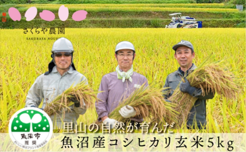 令和8年産　さくらや農園 魚沼産コシヒカリ 玄米5kg