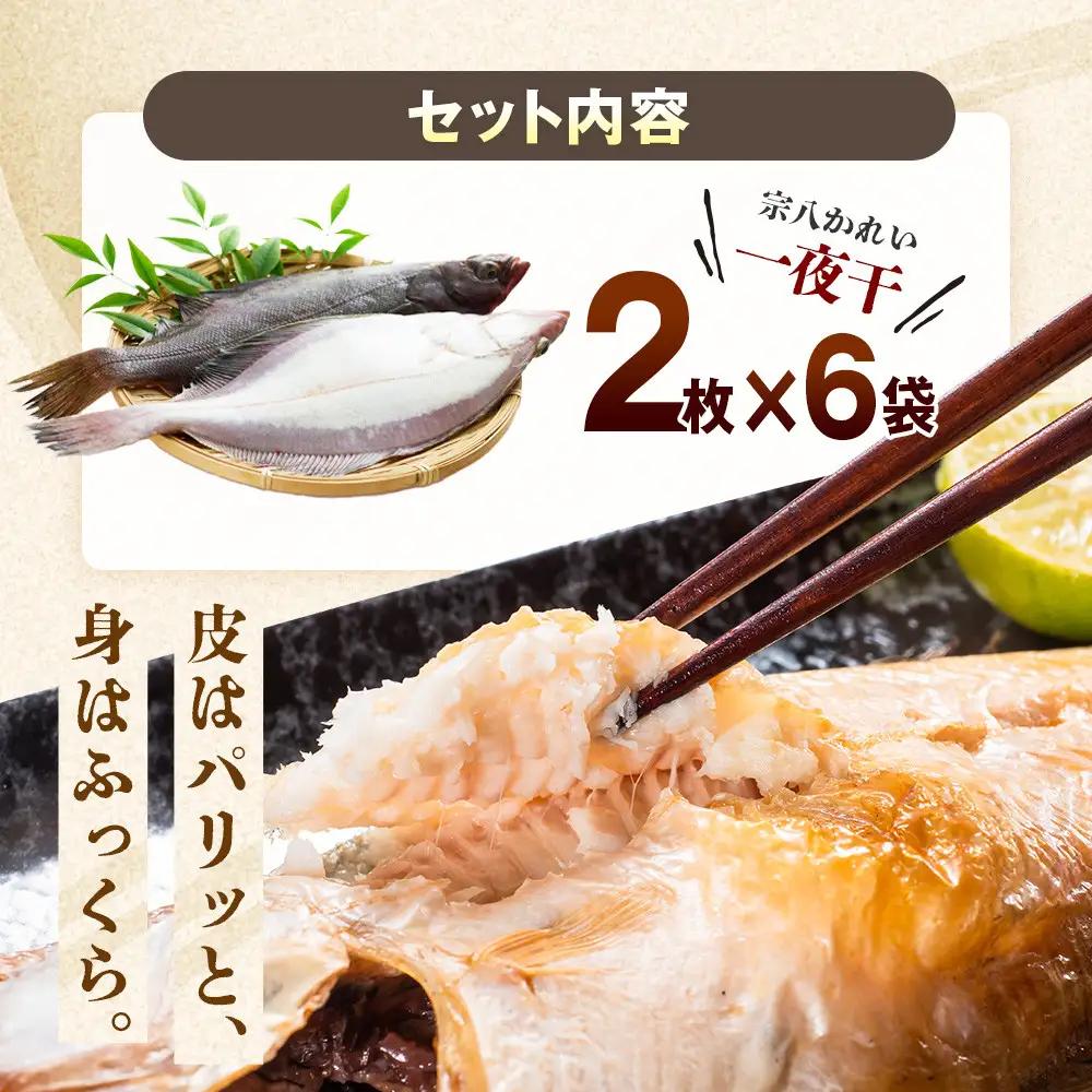 知床羅臼産宗八かれいセット（2枚×6セット）魚介類 かれい 小分け 北海道