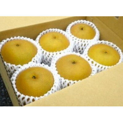 【ふるさと納税】【先行予約】【100口限定】梨『幸水』(2026年8月上～中旬発送予定)【配送不可地域：離島】【1697182】