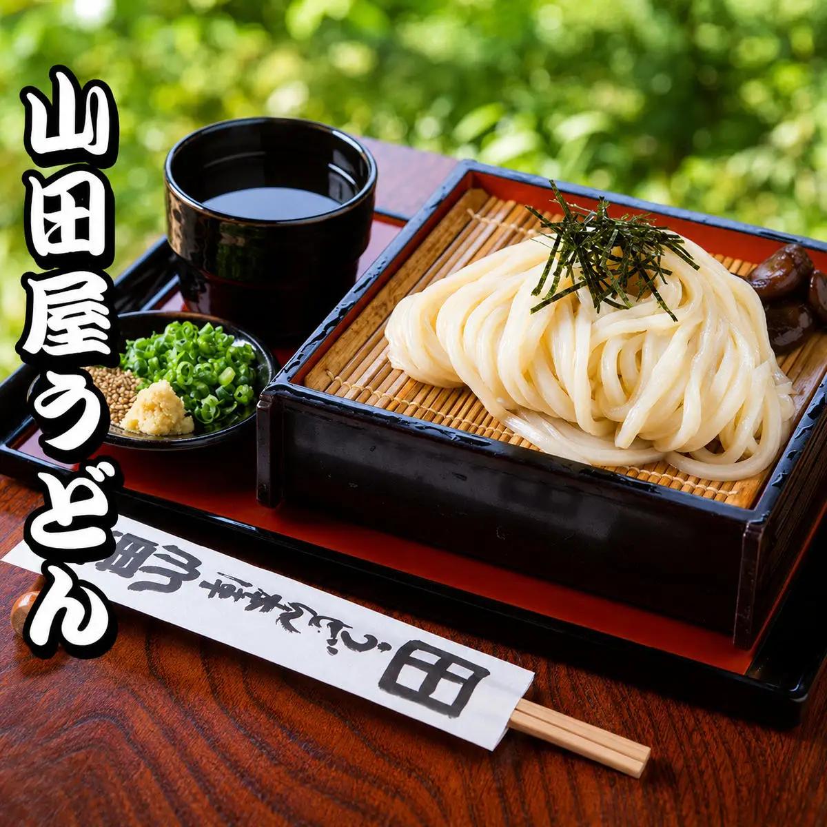【 小豆島 】「瀬戸・たかまつネットワーク」 うどん 食べ比べ セット さぬきうどん 饂飩 ウドン 麺 麺類 めん 国産 讃岐 さぬき 香川 香川県