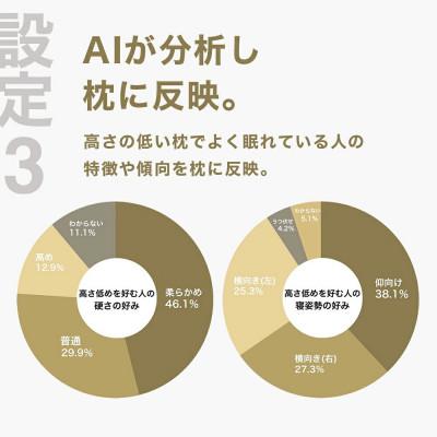 ふるさと納税 我孫子市 低い枕を好む人向け枕 THE PILLOW Preset 13 Hikume |  | 03