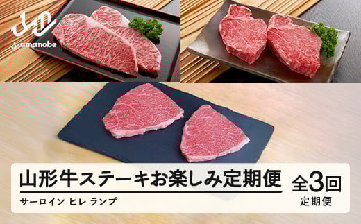 
            山形牛  定期便 山形牛ステーキお楽しみ定期便(全3回)  冷凍  セット ステーキ サーロイン ヒレ ランプ  高橋畜産 tc-tkygt3
          