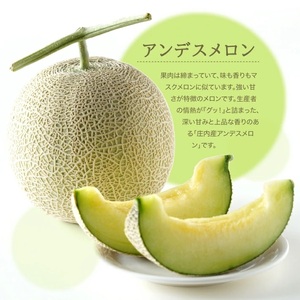 SC0678　特選 庄内産 アンデスメロン　約8kg(青肉/5～6玉入つる付) 