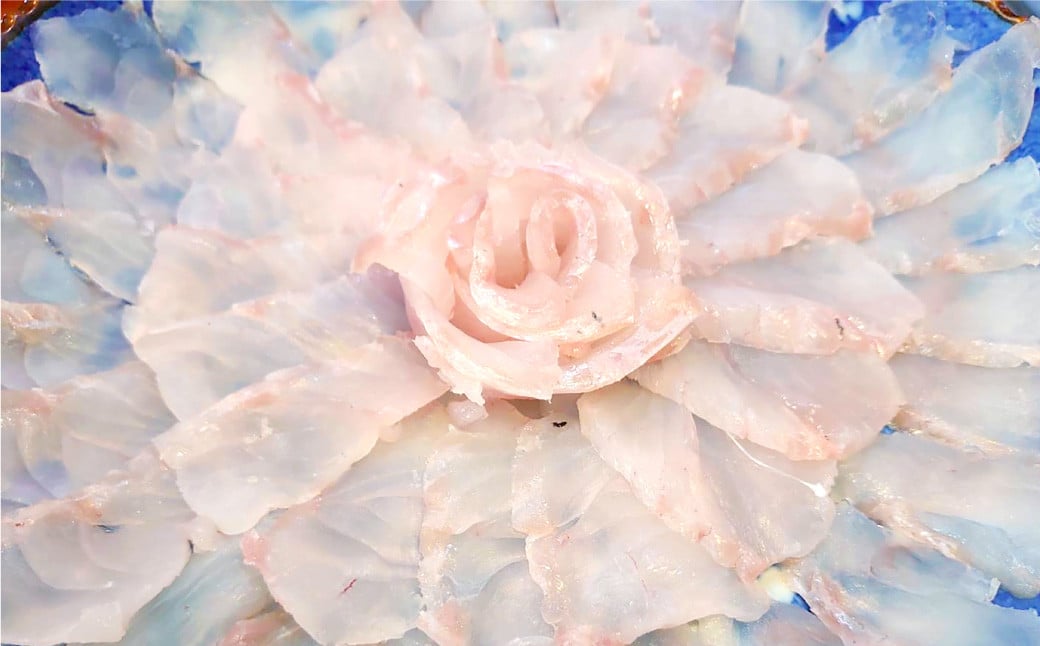 丸ごと1匹お届け！長崎近海 天然アラ (クエ) 5kg台 (5.2〜5.8kg、8〜10人前) ／ 魚 鮮魚 魚介 海鮮 高級魚 くえ あら 血抜き 鍋 刺身 大将農園 長崎県 長崎市 【2025年9