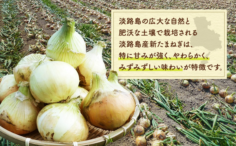 山木さんちのプレミアム新玉ねぎ 10kg 兵庫県 洲本市 淡路島