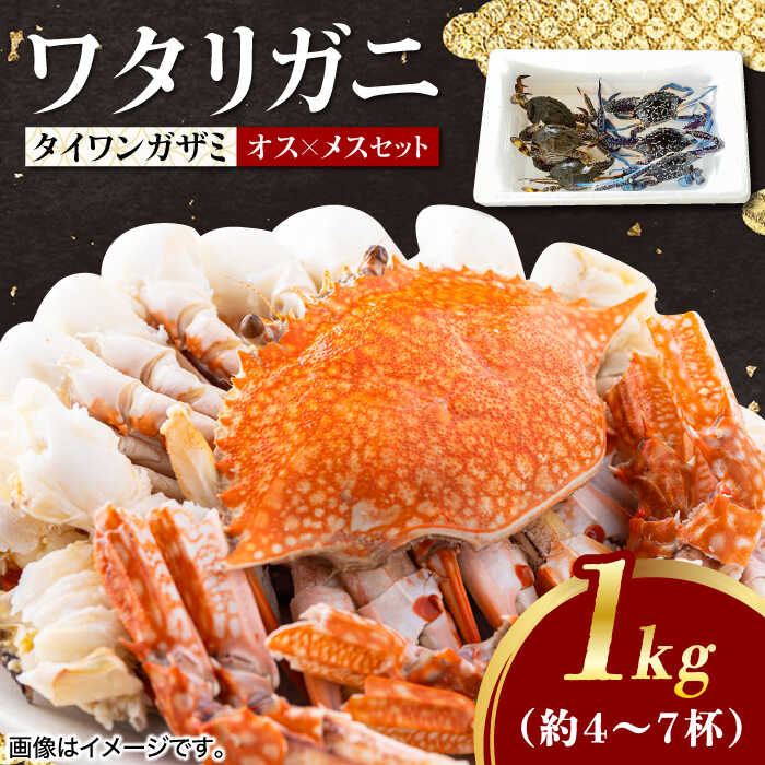 【ふるさと納税】豊前海産 タイワンガザミ 1kg (4〜7杯前後) オス メス セット 《築上町》【明青丸】 ワタリガニ 渡り蟹 蟹 カニ [ABCB002] 17000円