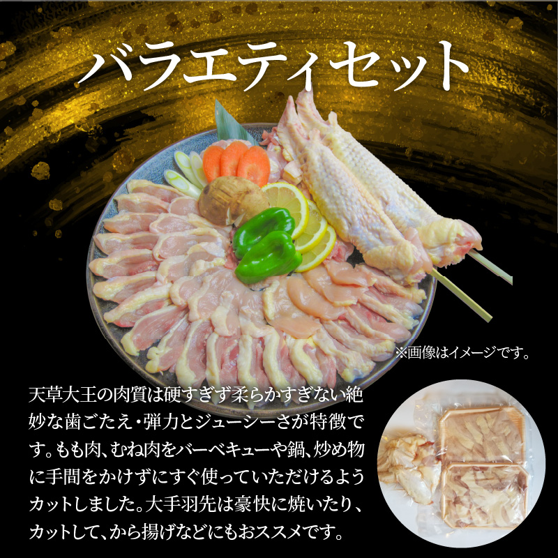 S081-018_天草大王 BBQセット