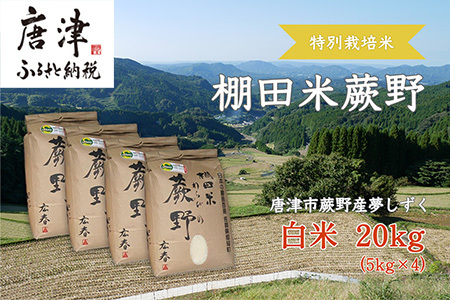 特別栽培棚田米「蕨野」5kg×４袋(合計20kg) 家庭排水が一切入らない自然水で作られたお米 10日に1回精米で新米のような味わい