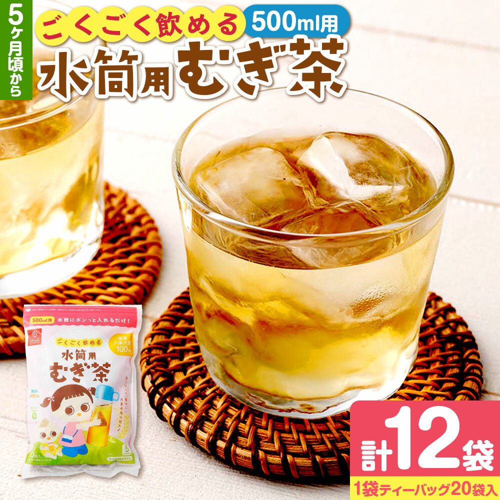 【ふるさと納税】ごくごく飲める水筒用麦茶 計2.4kg（200g（20袋）×12袋） 500ml 水筒用 麦茶 むぎ茶 お茶 六条大麦 浅煎り焙煎 テトラ型ティーバッグ 飲料 国産 山梨県 中央市 送料無料