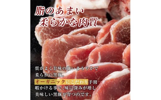C-061 鹿児島黒豚しゃぶしゃぶ＆トンカツ詰め合わせセット合計約3,0kg以上【米平種豚場ふくふく黒豚の里】