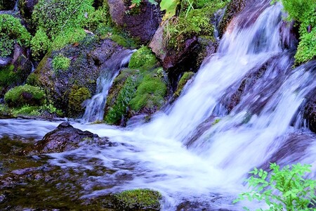 天然水【定期便・霧島連山天然水 12か月コース】 細野の天然水 555ml×24本×12回 ミネラルウォーター