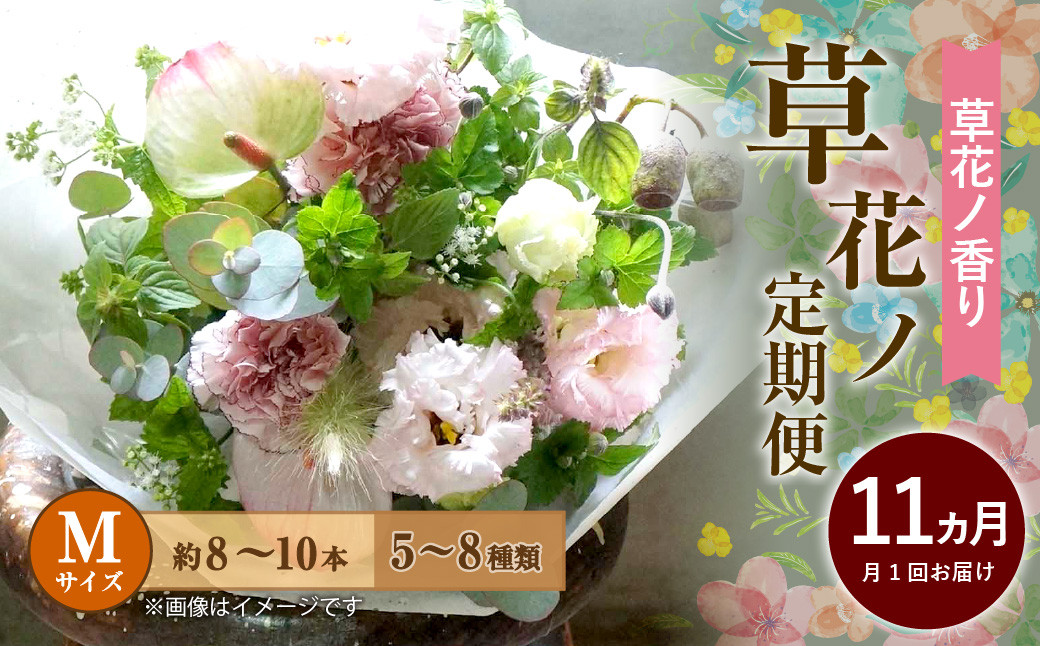 
【定期便 11ヶ月】草花ノ定期便 Mサイズ 5～8種類 約8～10本
