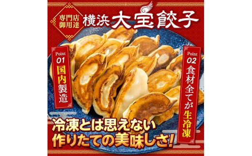 全て国産食材、銘柄豚使用！肉汁あふれる！【横浜大宝餃子】もちもち国産ジャンボ大宝餃子120個（30個×4）老舗餃子メーカー 横浜中華 焼餃子 冷凍餃子 ギョーザ ぎょうざ 大きい 中華 おかず 惣菜 ギフト プレゼント