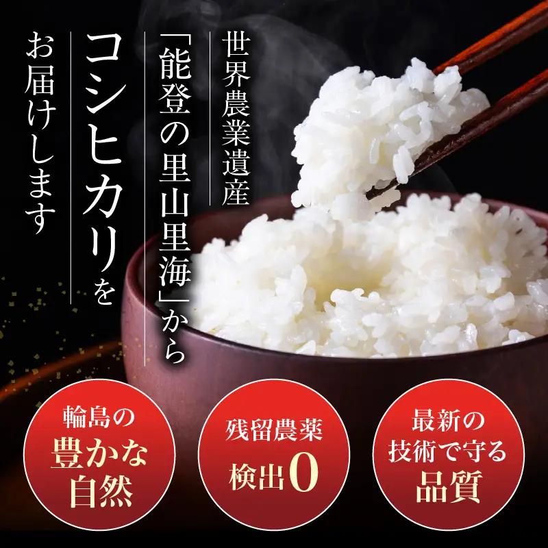 1月発送 R8年産 コシヒカリ 2kg 無洗米 wa084 無洗米 米