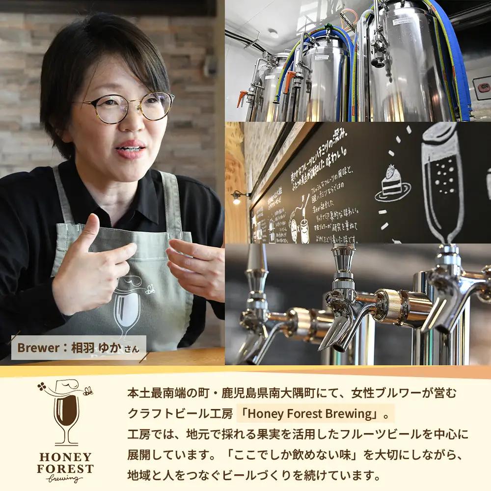 【素材づくりから醸造まで一貫製造】Our Fruits ALE　レモン3本セット HF-9 ｜クラフトビール 地ビール フルーツエール レモンビール 酒 レモン 柑橘 女性 手作り はちみつ 蜂蜜 人