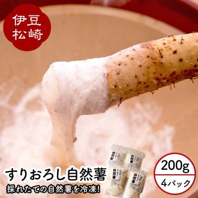 ふるさと納税 松崎町 婆娑羅農産のすりおろし自然薯 4パック