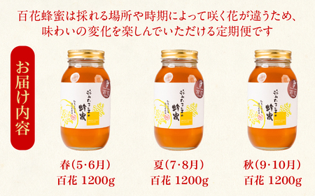 【国産蜂蜜】百花 1200g×3回定期便 蜂蜜
