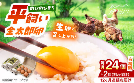 【12回定期便】【TVで紹介！】【鮮度ＡＡ級の世界最高ランク！】金太郎卵 平飼い たまご 24個（6個×4パック）＜有限会社フジノ香花園＞那珂川市 平飼い卵 卵 平飼い卵 卵 平飼い 卵 平飼い 平飼いたまごたまご [GAM035] 138000 138000円
