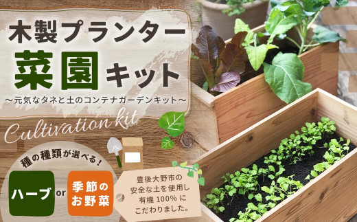 095-715-H 木製プランター菜園キット～元気なタネと土のコンテナガーデンキット～ハーブ ガーデニング