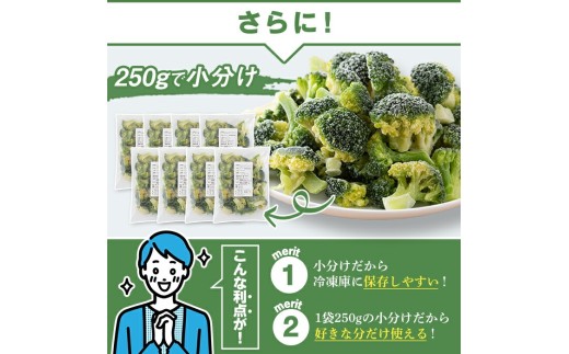 ＜先行予約受付中！2027年1月以降順次発送予定＞ 鹿児島県産冷凍ブロッコリー (合計2kg・約250g×8袋) 大容量 国産 野菜 冷凍 冷凍野菜 小分け 【合同会社グッドフィールド】akn056-10