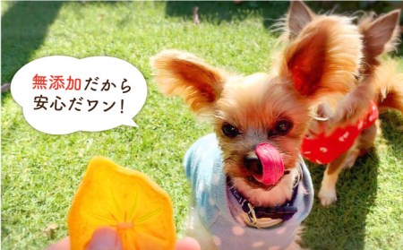 【6袋×3回定期便】犬の無添加おやつ☆お砂糖不使用 旬のドライフルーツ定期便 吉野ヶ里町/わんこin食堂 ドッグフード/犬用品/ペット用品 [FCG008]